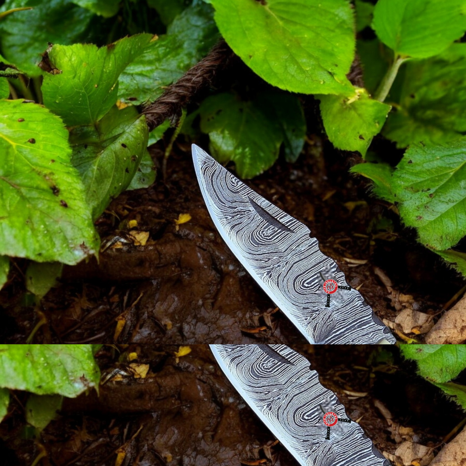 Folding Knife