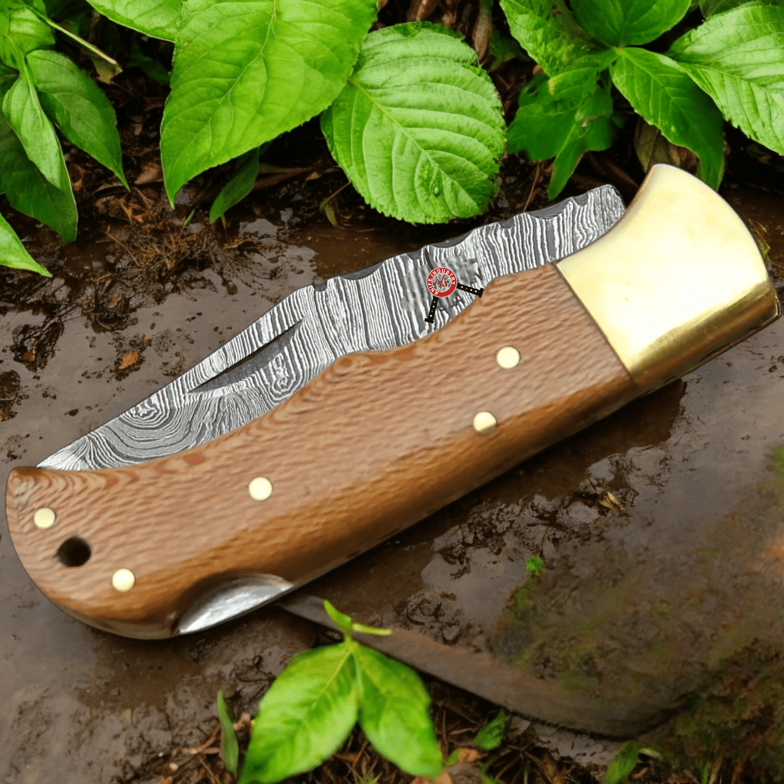 Photoroom-20250428_194032_8 Folding Knife