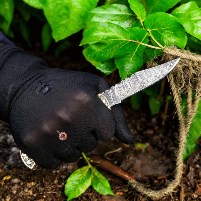 Folding Knife
