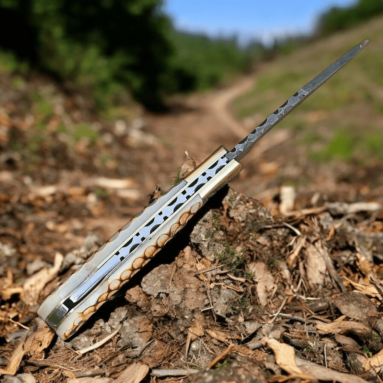 Photoroom-20250507_200610_4 folding knife