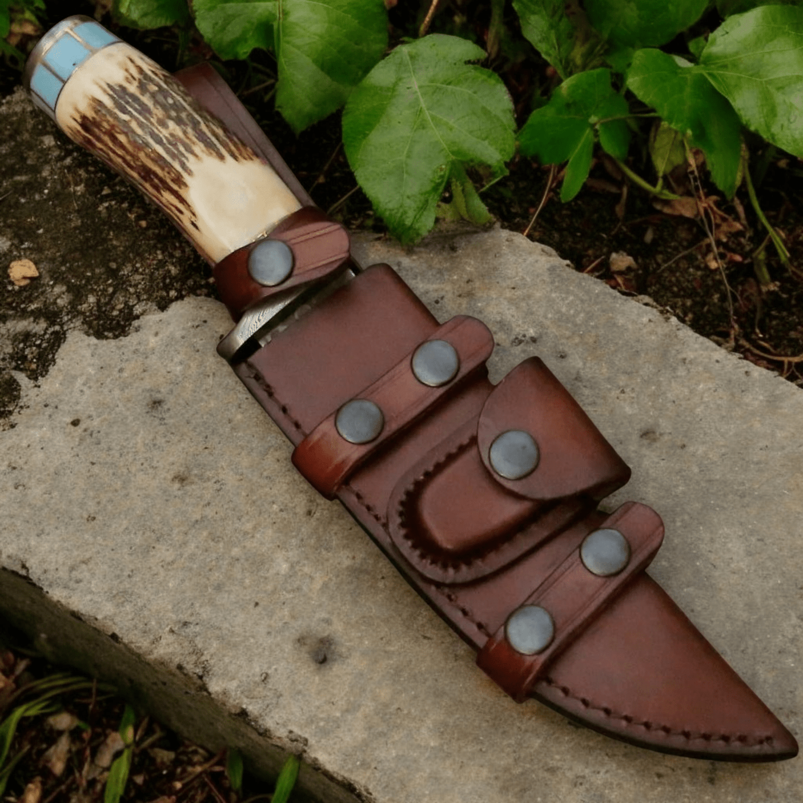 Photoroom-20250629_110742_10 Hunting Knife