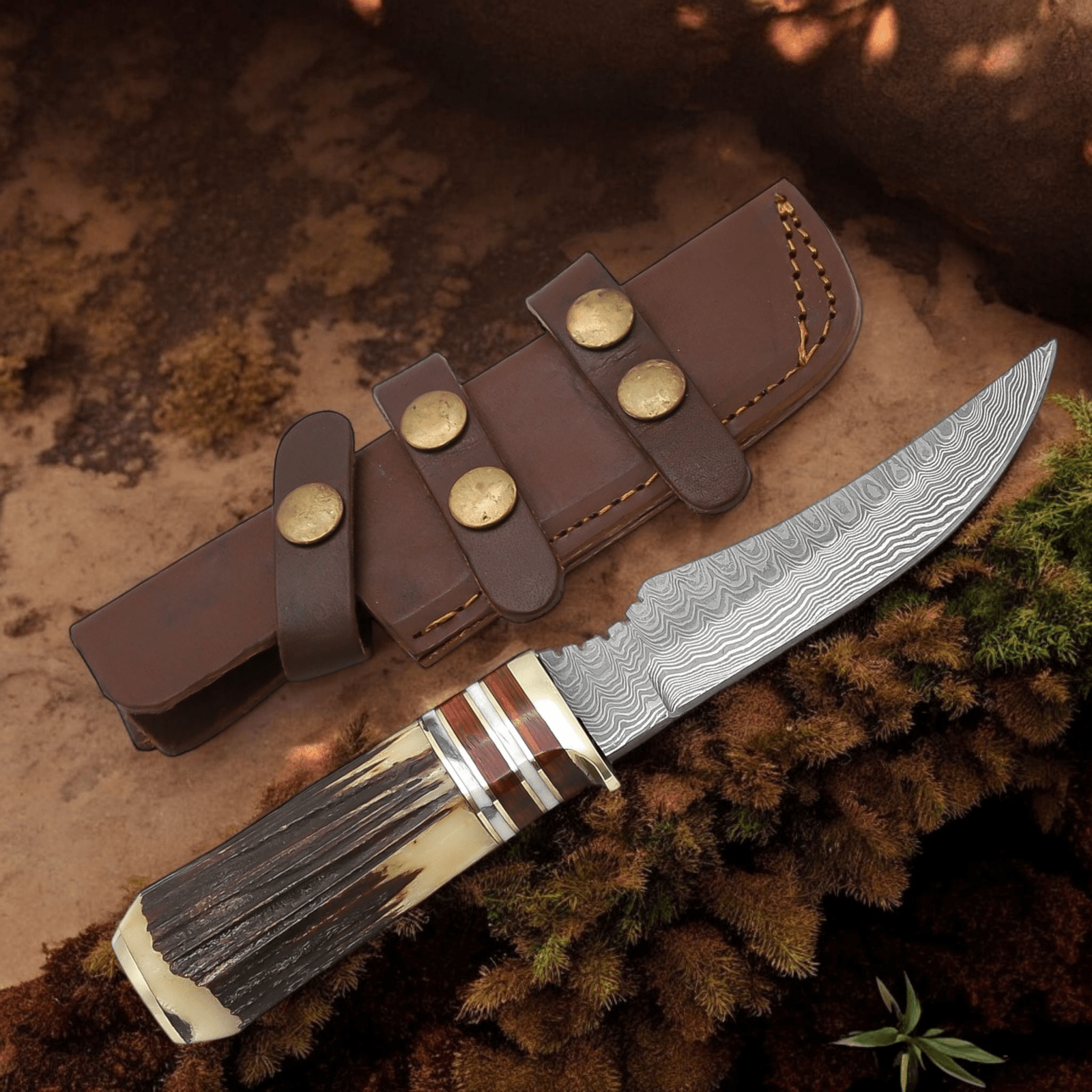 Photoroom-20250705_105618_2 Hunting Knife